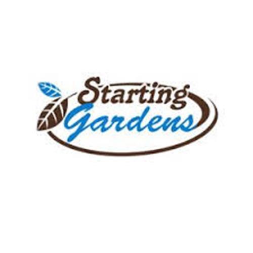 National Pickling Cucumber, Heirloom, NON-GMO Seeds, 25 Cucumber Seeds gallery