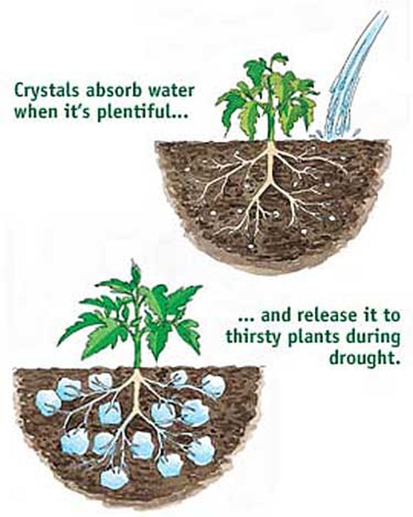 Water Absorbing Polymer Crystals - Soil Moist - Cricket Water Gel gallery