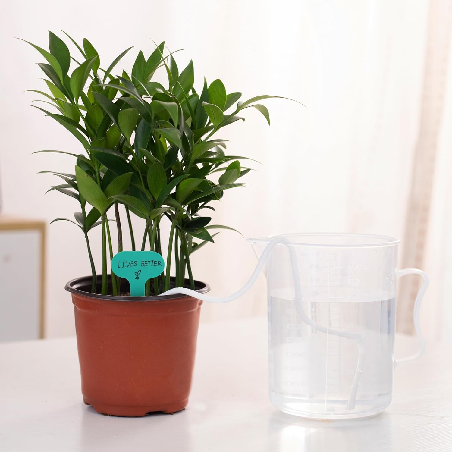 30ft Self Watering Wick Rope Set for Plants - 5 Sizes: 1/4" to 1/12 gallery