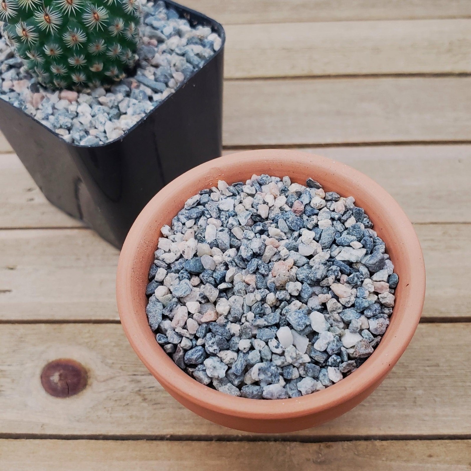 1lb #10 Grid Top Soil Dressing Pebbles for seed germination gallery