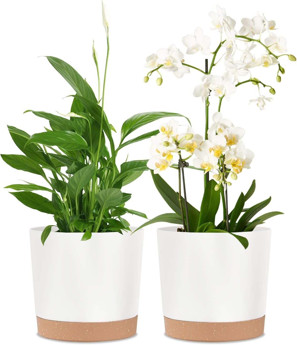 2 Pack 8 Inch Planters for Indoor Plants, Plastic Flower Pots Plant Pots Indoor gallery