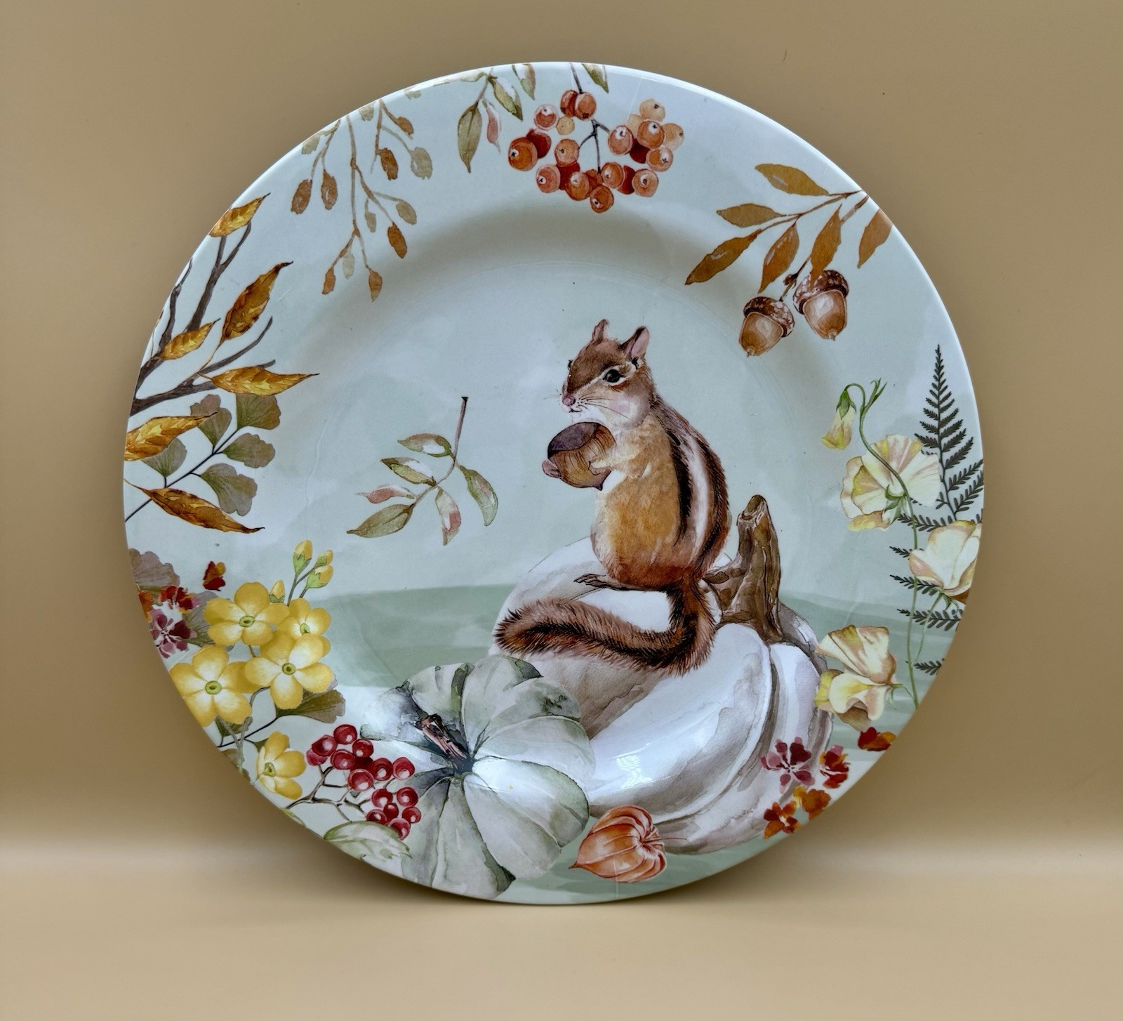 Set Of 2 Chipmunk Plates 11” Heavy Plastic gallery