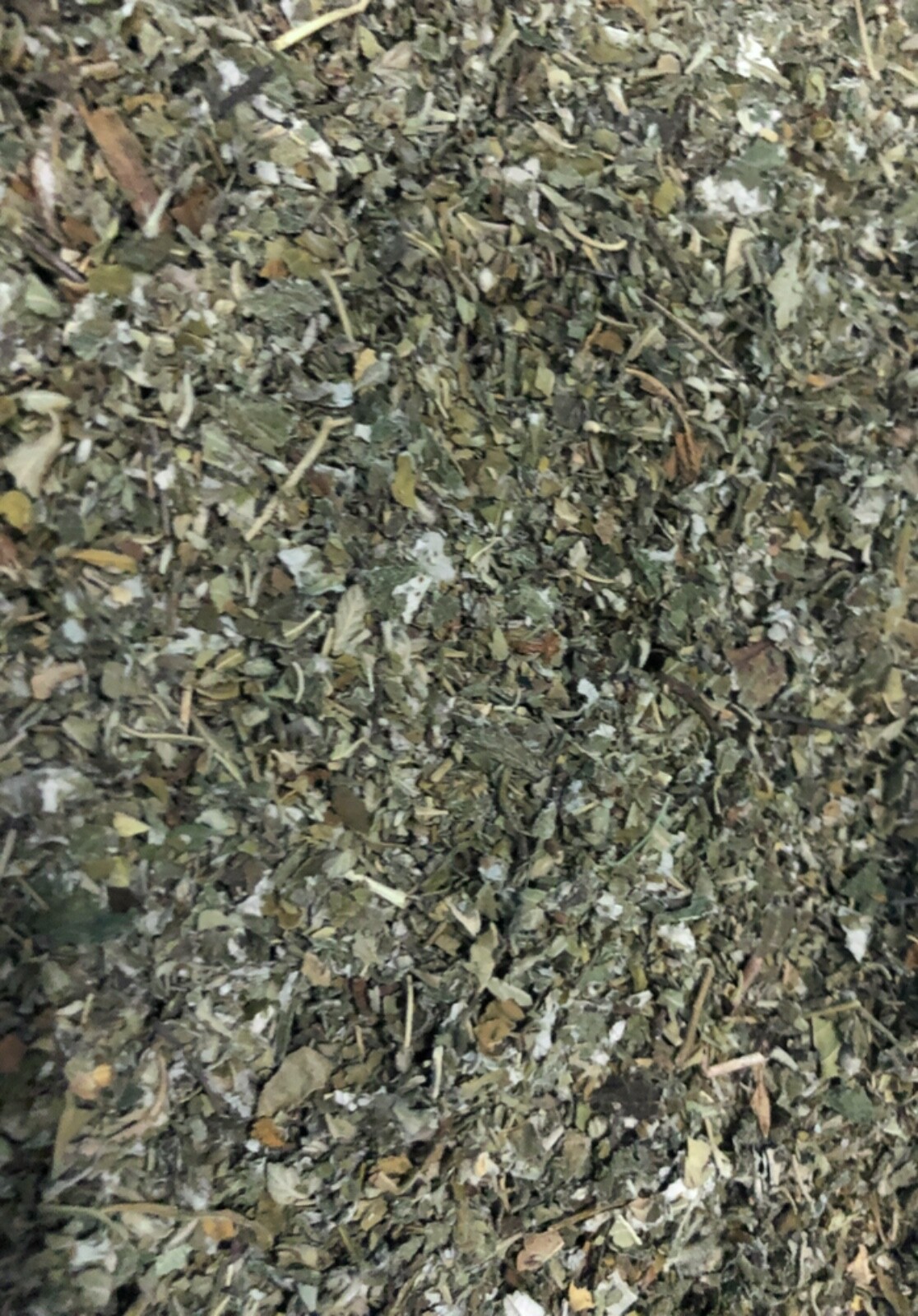 Damiana + Raspberry Leaf Organic Healing Medicinal Quality Herb Tea Mix 1 POUND gallery
