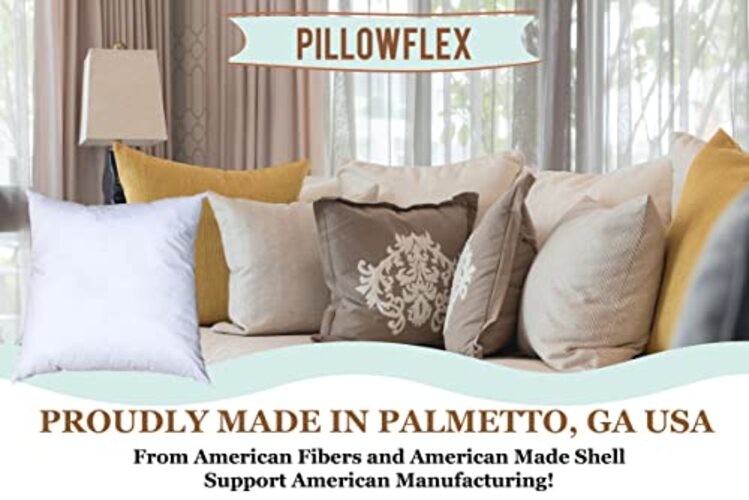 Premium Polyester Throw Pillow Insert - 22x22 - Ultra Soft 22 Inch by 22 Inch gallery