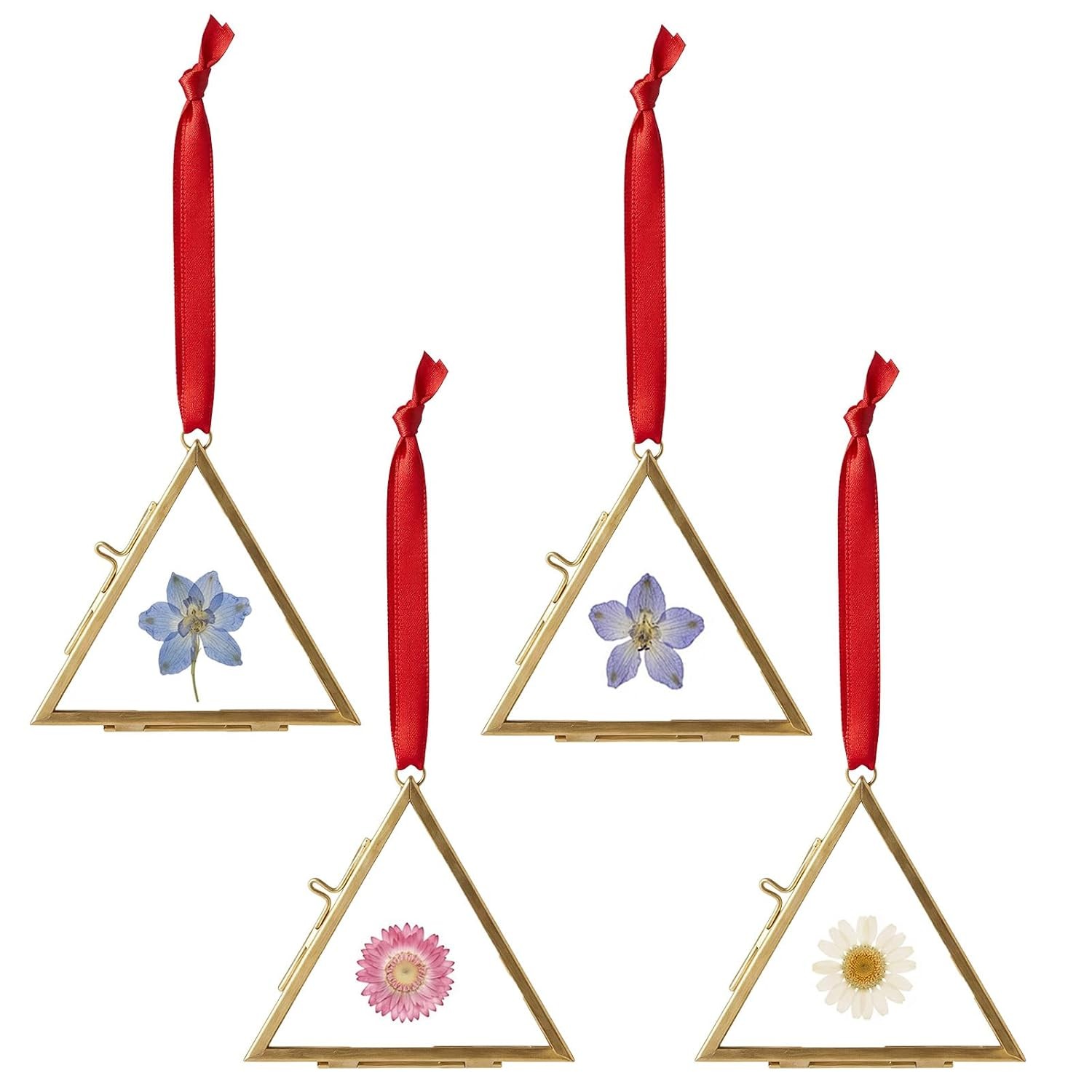 FOCHIER 4 Pcs Double Glass Floating Frame Pressed Flower Hanging Photo Display gallery