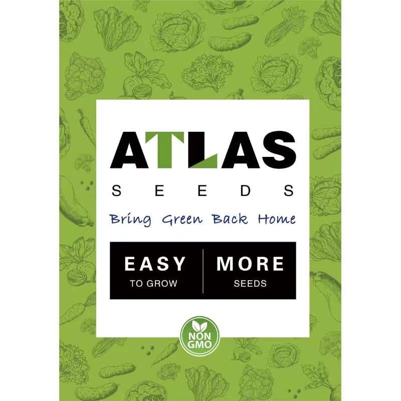 16 Varieties Fall Vegetable Seeds Over 20,000 Seeds gallery
