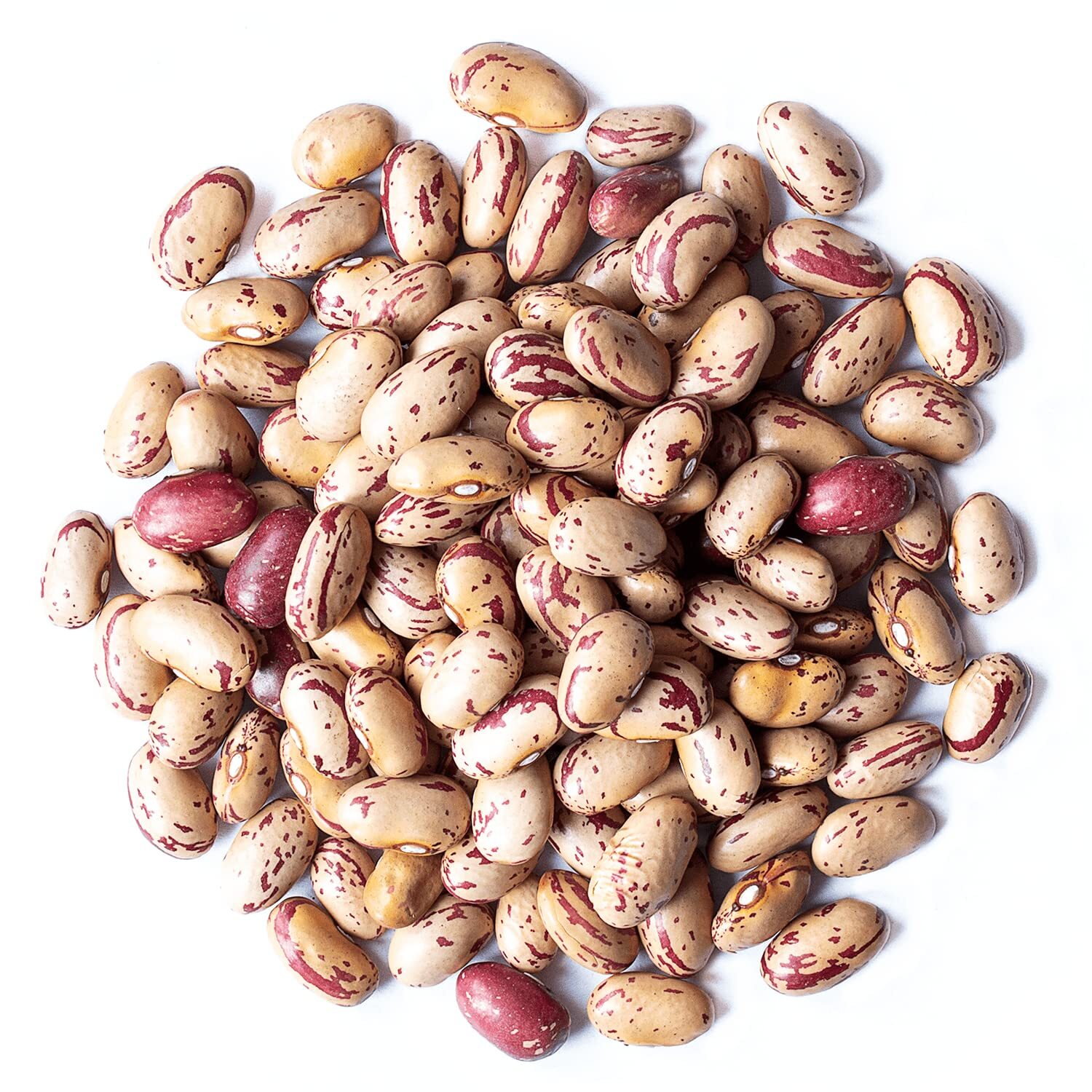 Cranberry Beans - Sproutable, Kosher, Raw, Vegan - by Food To Live gallery