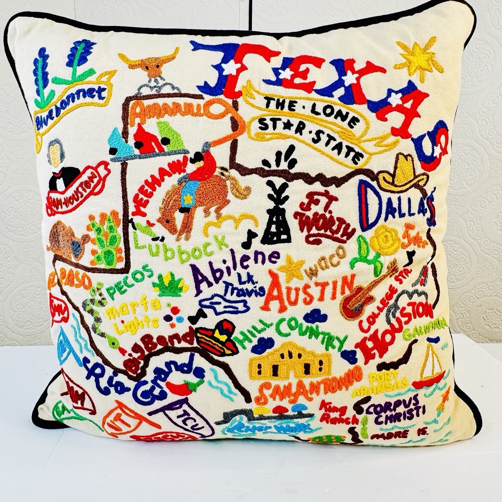 Catstudio Geography Collection Texas State Hand Embroidered 19” Pillow 2017 MINT gallery