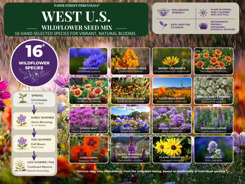 1/2 Pound Colorado Bulk Wildflower Seed Mix 1/2lb Covers 1,600sq-ft gallery