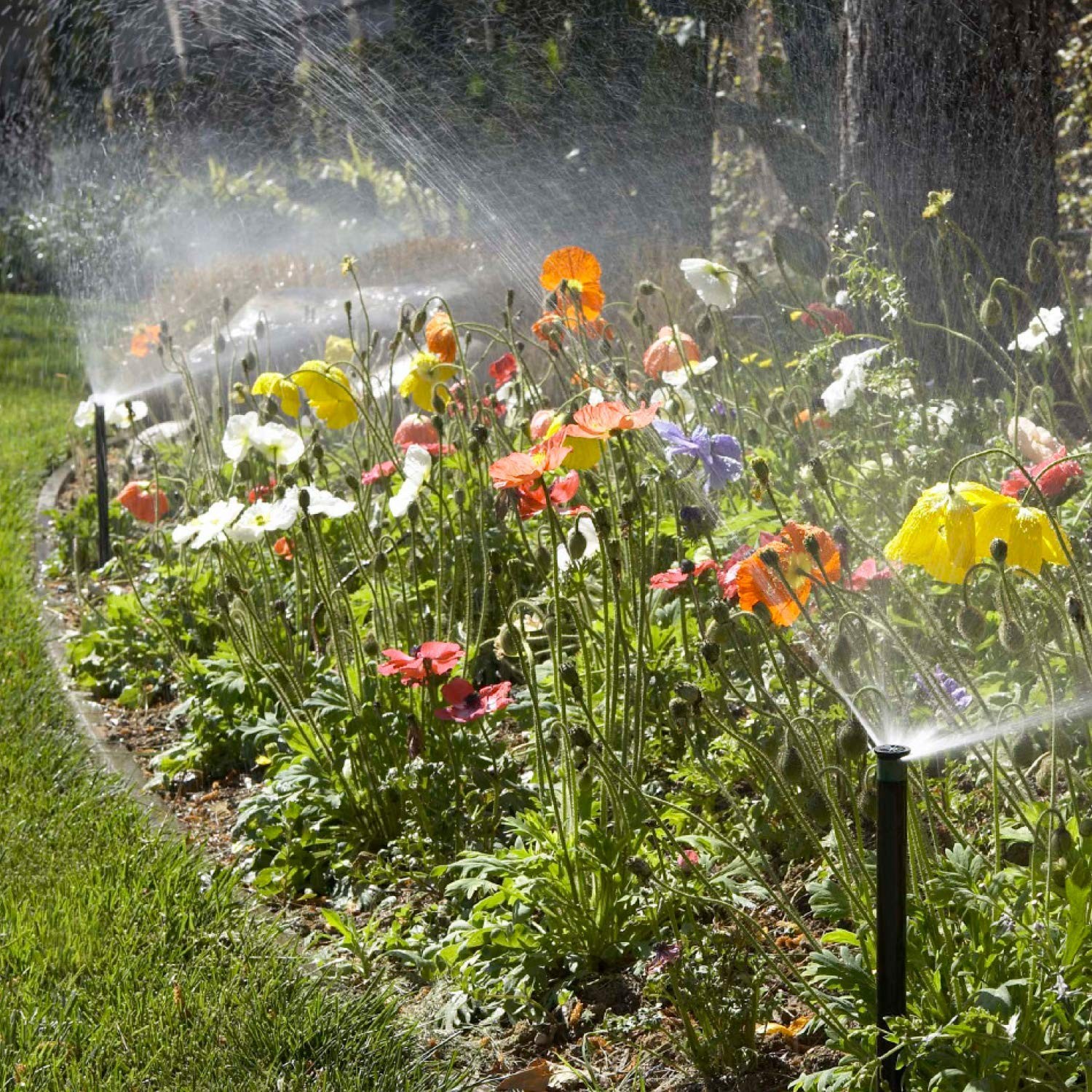 4 Inch Pop Up Sprinkler Head Adjustable 0360 Spray Pattern 815 Foot Coverage L gallery