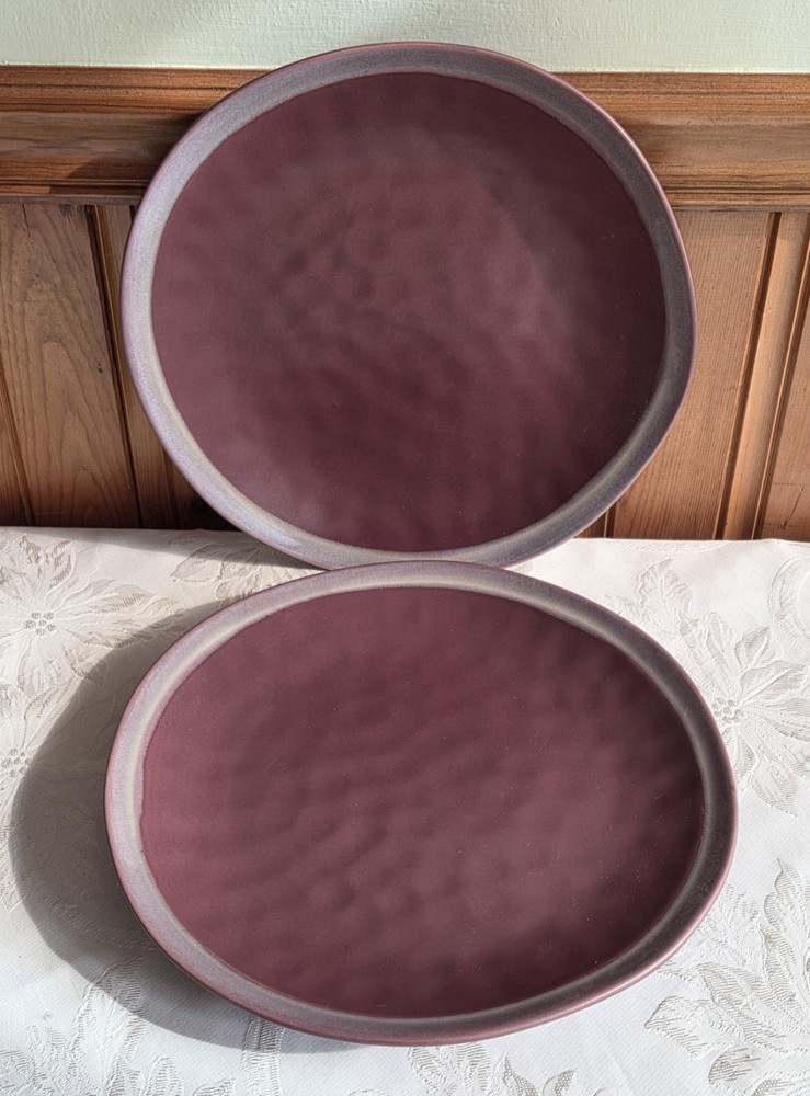 Stone + Lain Rustic Stoneware Serafina Wine 11" Dinner Plates Set 2 NEVER USED!
