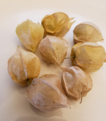Pineapple Ground Cherry (100+ Seeds) – unique and versatile!