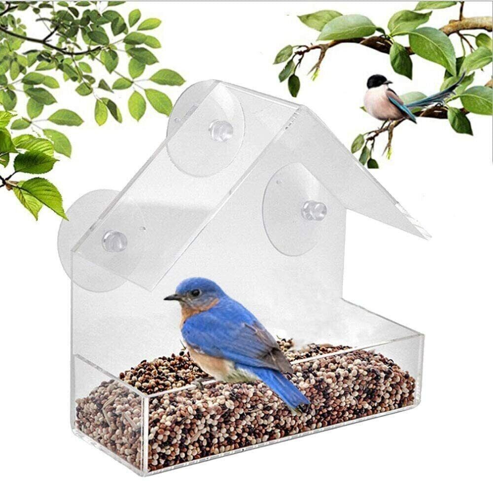 Clear Window Bird Feeder Strong Suction Cups Wild Bird Watching Seed Feeder gallery