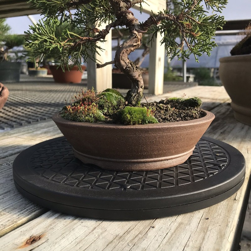 Mini Bonsai Tree Turntable 12.5" Base, 200Pound Capacity, 360° Rotation gallery