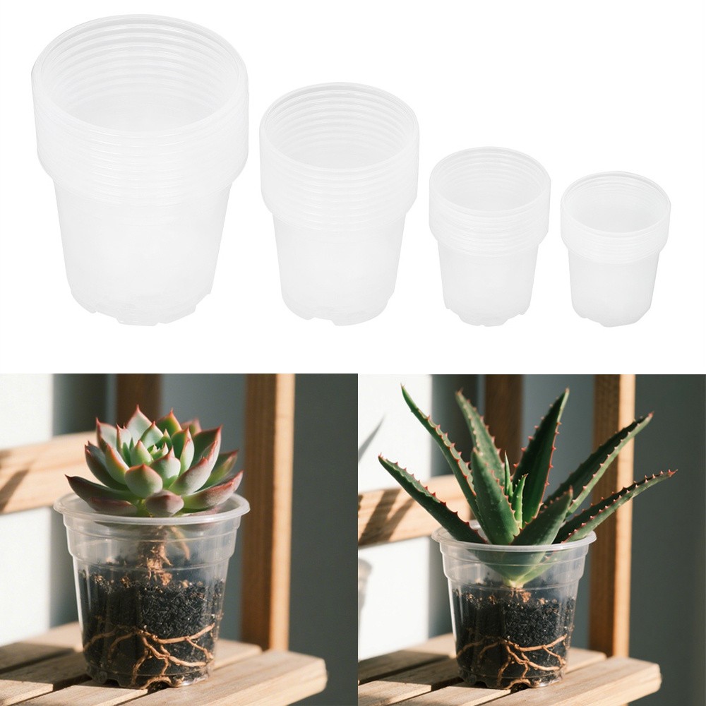 36 Pack 6.7/5/4/3.5 Inch Reinforced Clear Nursery Pots With Drainage Hole Flower gallery