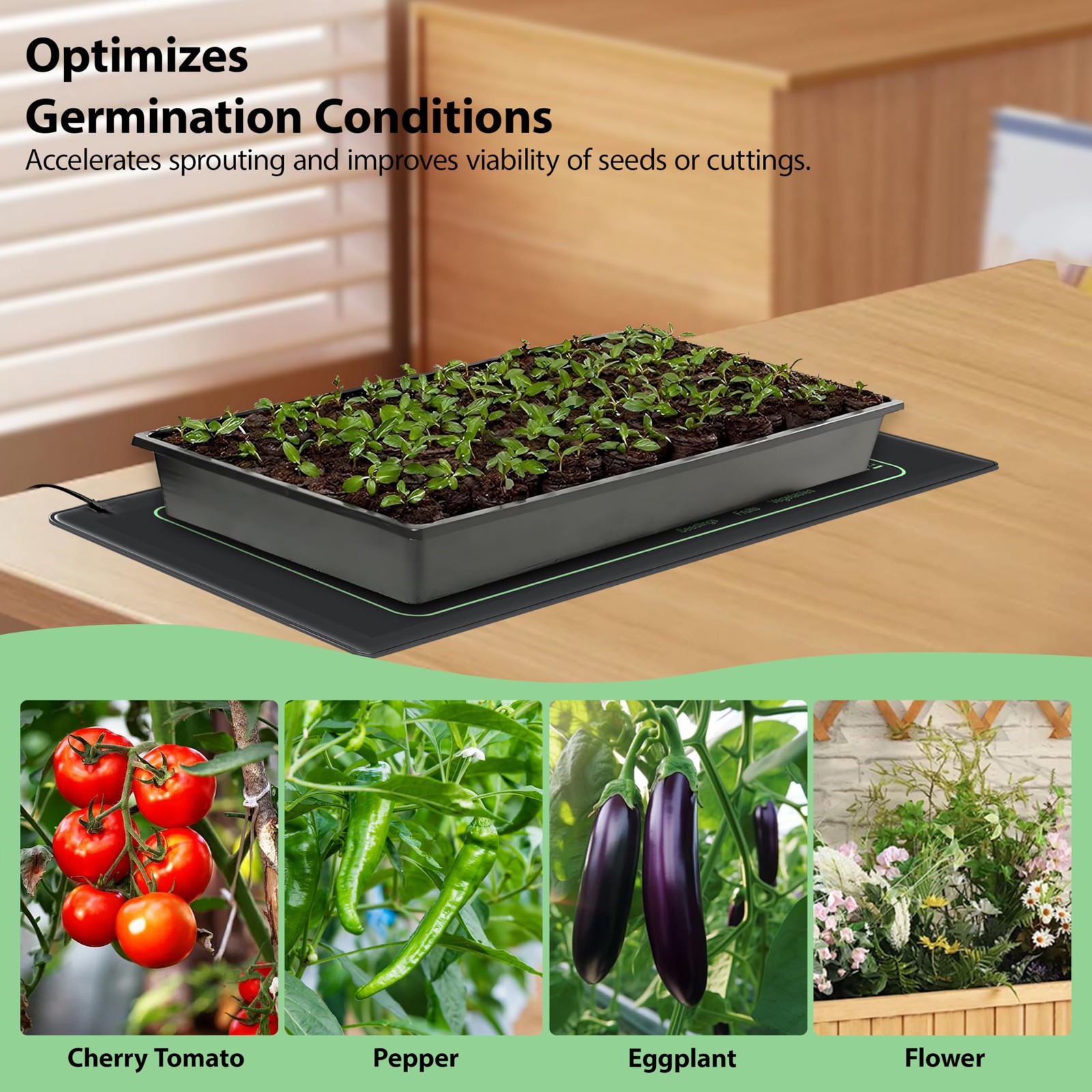 Seedling Heat Mat 2 Pack Heat Mats for Seed Starting Plants Indoor Growing Garde gallery