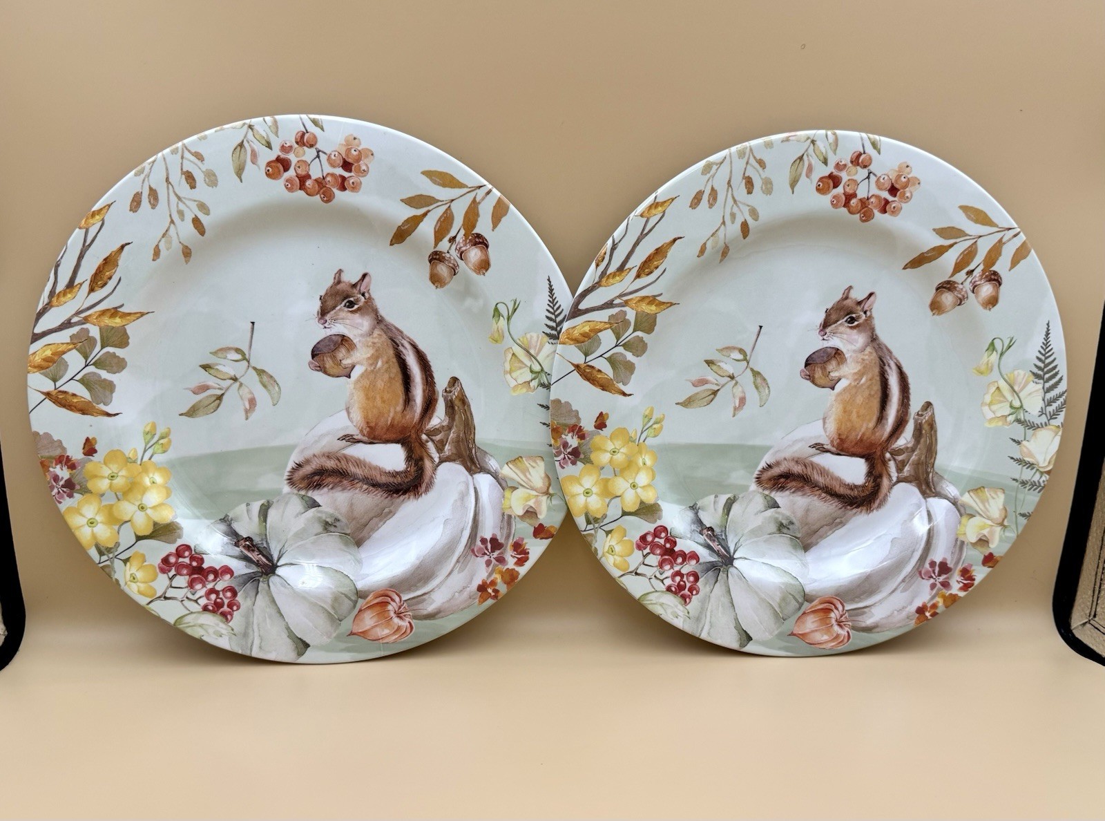 Set Of 2 Chipmunk Plates 11” Heavy Plastic gallery