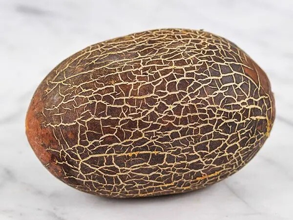 Cucumis sativus sikkimensis SIKKIM RUSTY CUCUMBER, VERY RARE - 10 Seeds gallery
