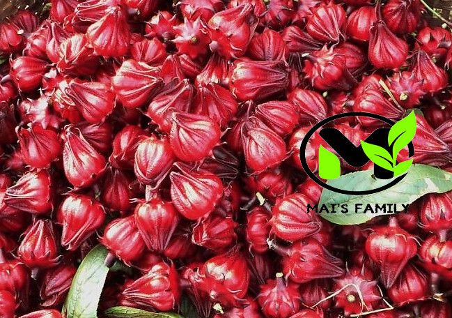 Roselle Seeds, Hoa Bụt Giấm, Asian Sour Leaf Red Sorrell Hibiscus sabdariffa gallery