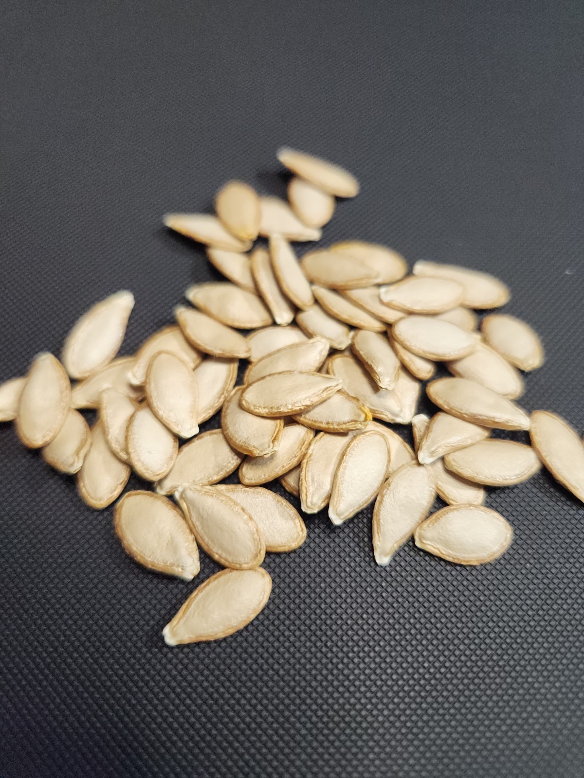 10 Seminole Pumpkin Seeds - Heirloom --- Food Security -- NON GMO Florida Grown gallery