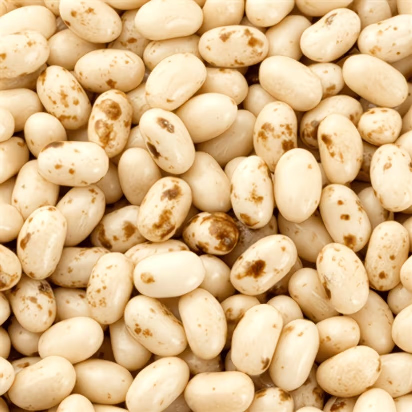 Jelly Belly Mix 1.5 / 3LB – Buttered Popcorn, Toasted Marshmallow & Coconut Mix! gallery