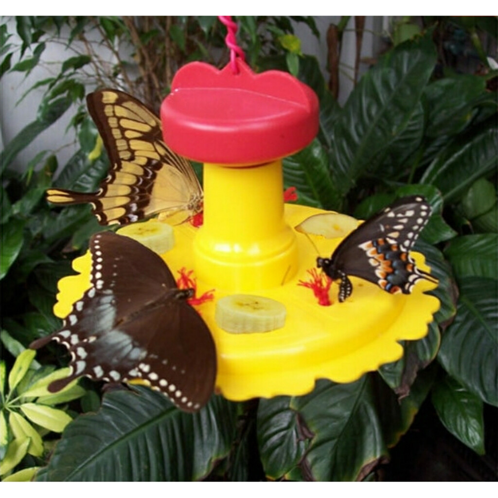 SONGBIRD ESSENTIALS BEST BUTTERFLY FEEDER SE78200 ATTRACT BUTTERFLIES FREE SHIP gallery