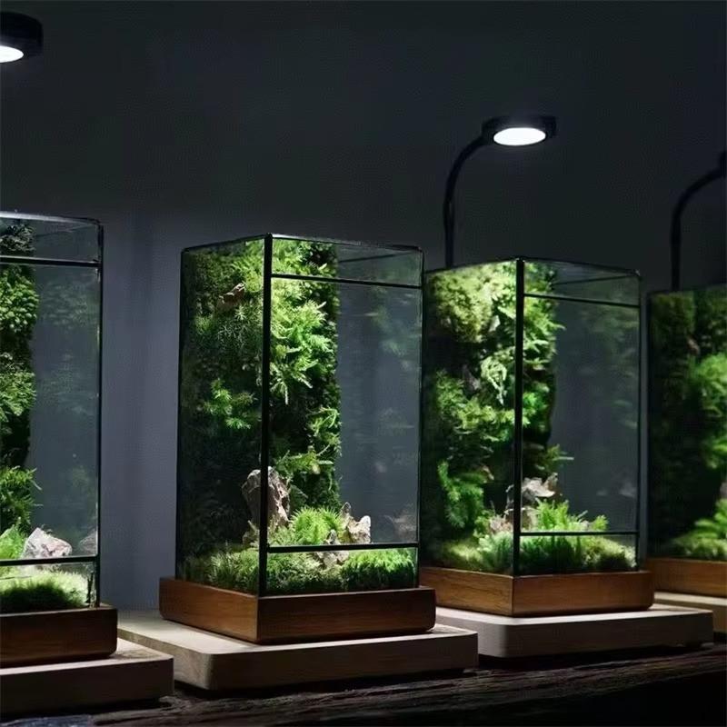 Mini Rainforest Glass Terrarium Tabletop Decor gallery