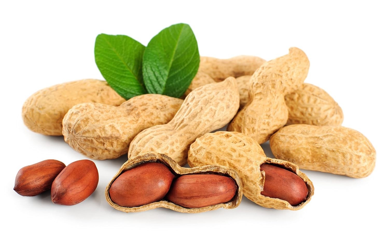 Healthy Raw Peanuts for Boiling, Squirrels & Birds, 3-Pack gallery