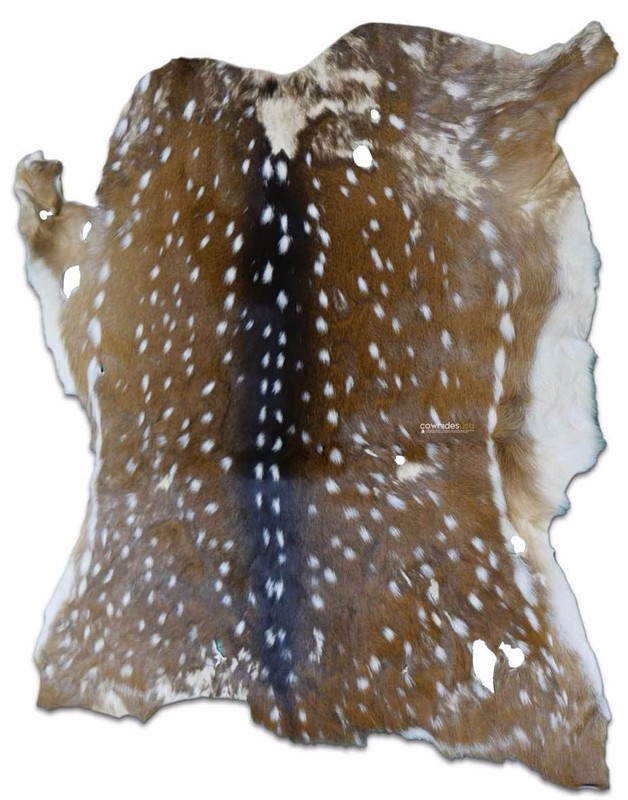 Axis Deer Skin Second Grade -Axis Deer Hide Size: 38"X30" Cheetal deer buck hide gallery
