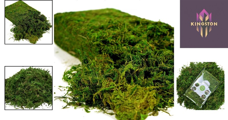Versatile Artificial Moss 16oz - Perfect for Fairy Gardens & Floral Arrangements gallery
