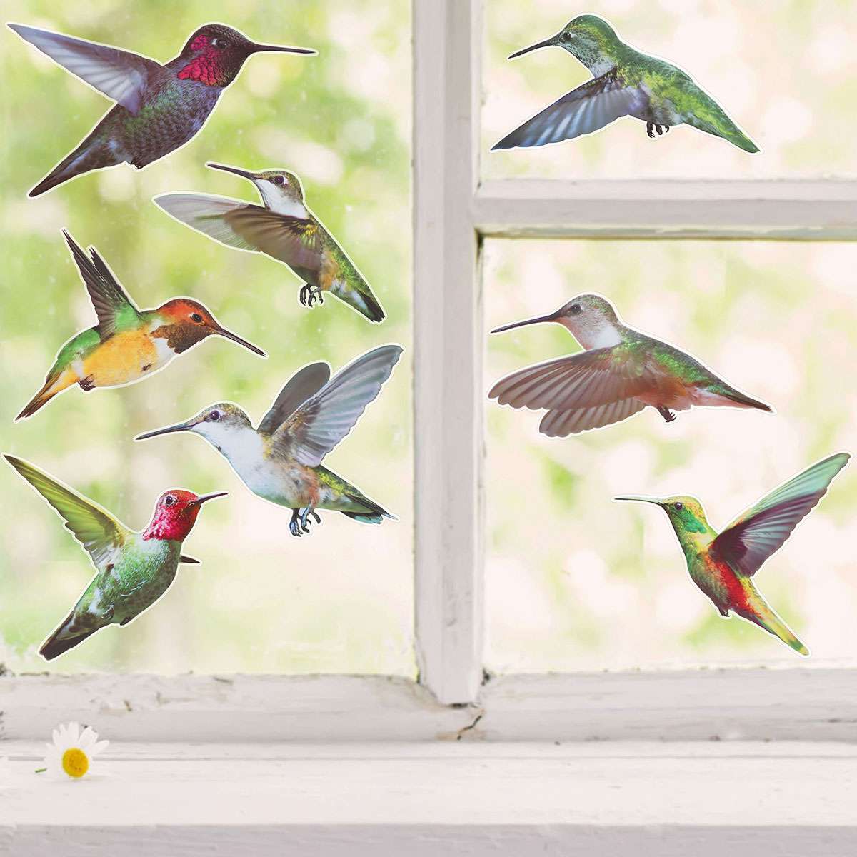Large Anti Collision Window Decals for Bird Strikes, Stop Birds, 9 Pieces gallery