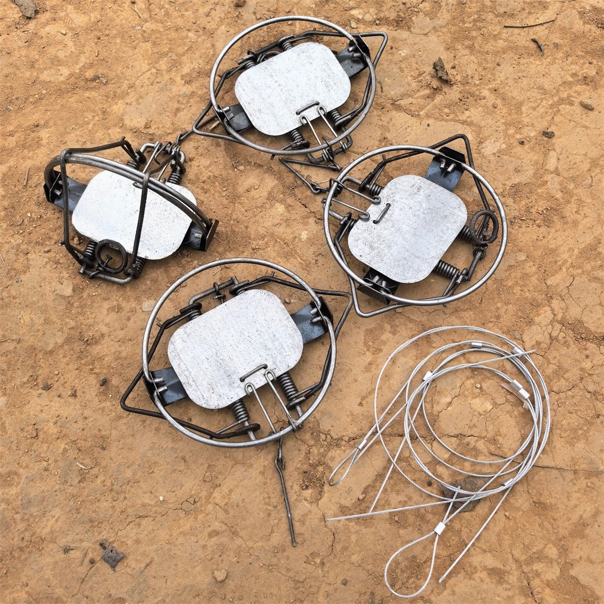 4Pc 5.12In / 13cm Coil Spring Nutria Rabbit Trap Mice Fox Gopher Mole Rat Mouse gallery
