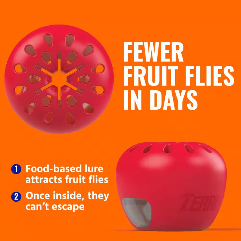 Indoor Fruit Fly Trap, (2-count) , Terro Traps, In Built With Window Sinks... gallery