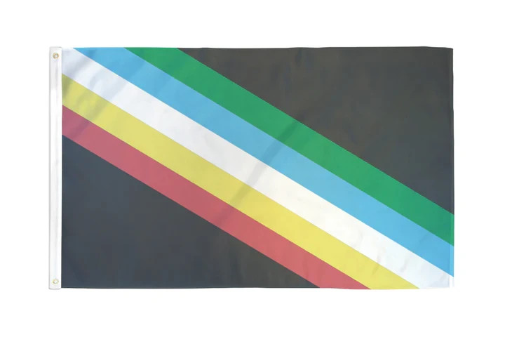 Disability Pride Flag 3x5ft Poly Flag of the Rights of Persons with Disabilities gallery