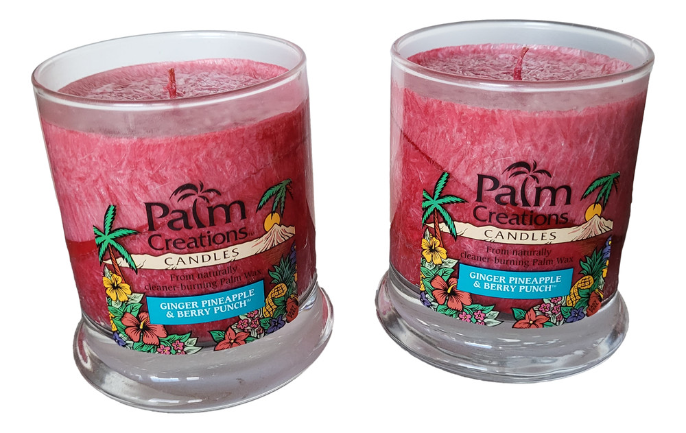 Scented Jar Candles 2-Pack 9oz Jars Ginger Pineapple & Berry Punch