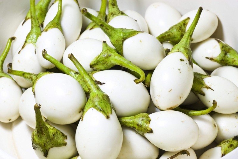 30 EASTER EGG PLANT Ornamental Easter Eggplant / Nest Egg Solanum Ovigerum Seeds gallery