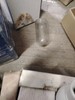 (6) HALO White Track Light Metal Shade 3-1/2" L-4090-P. New gallery