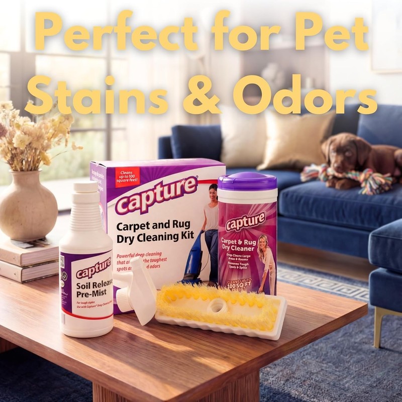 Professional Carpet Cleaning Solution - Stain & Odor Control gallery
