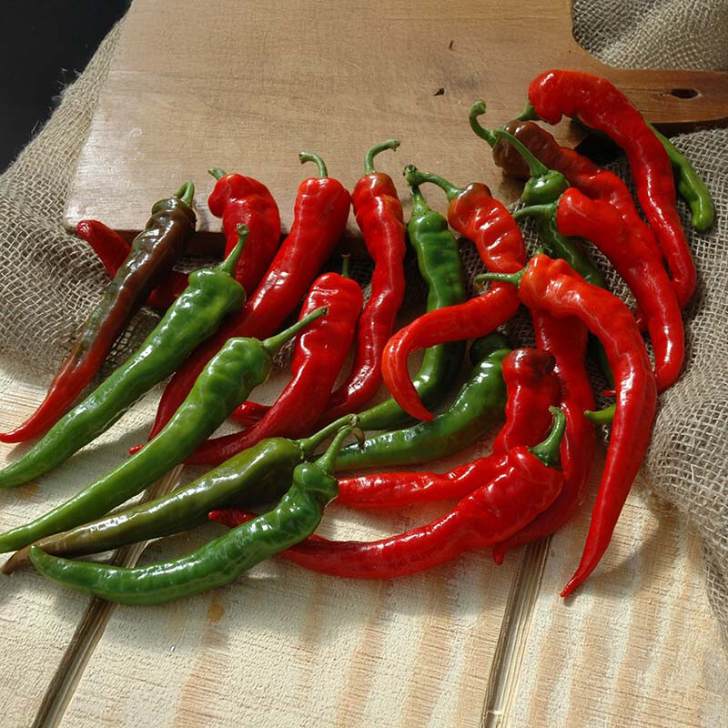 100 Heirloom Zero Heat Cayenne Pepper Seeds – Sweet Zero SHU Chili Seeds Non-GMO gallery