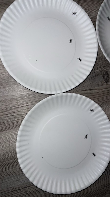 180 Degrees Reusable Melamine "Paper Plate Look" 8.75” Dinner Plates gallery