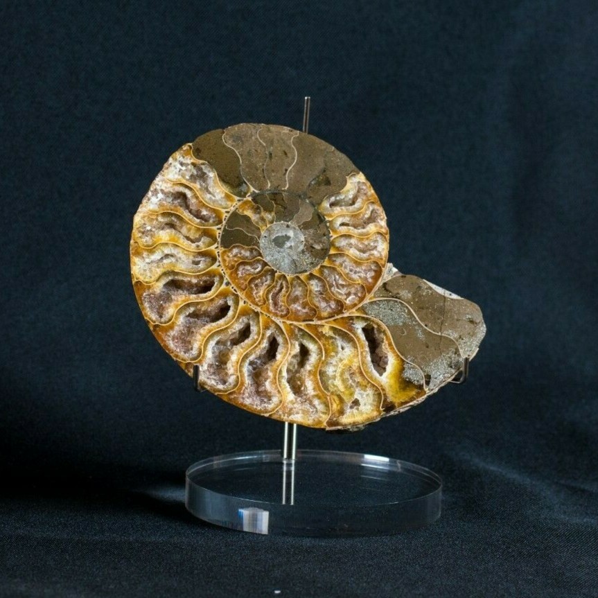 Adjustable Display Stand (XLarge) for Minerals, Geodes, Slabs, and Collectibles gallery