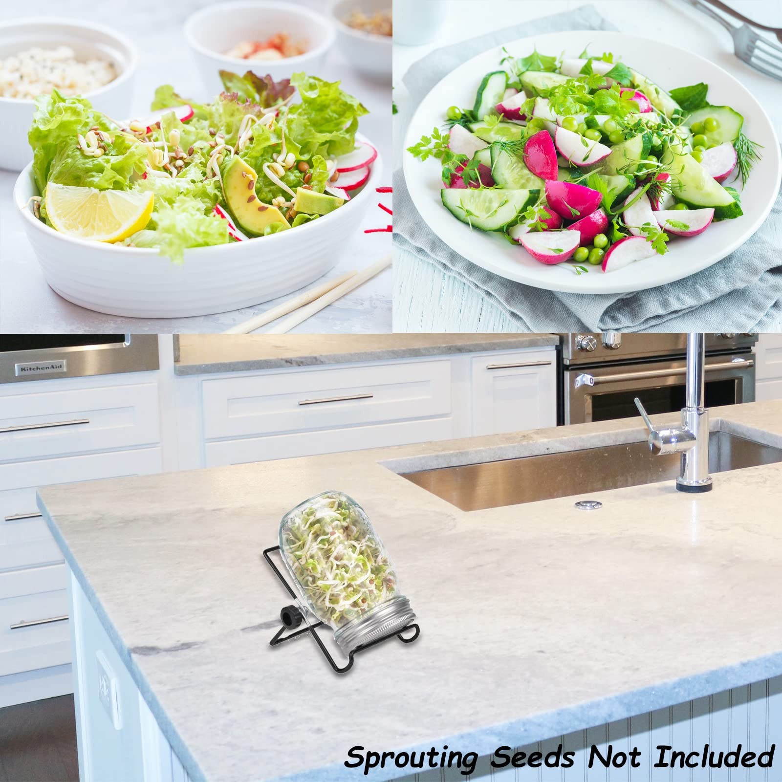 Organic Sprouting Jar Kit for Broccoli, Alfalfa, Mung & Bean Microgreens gallery
