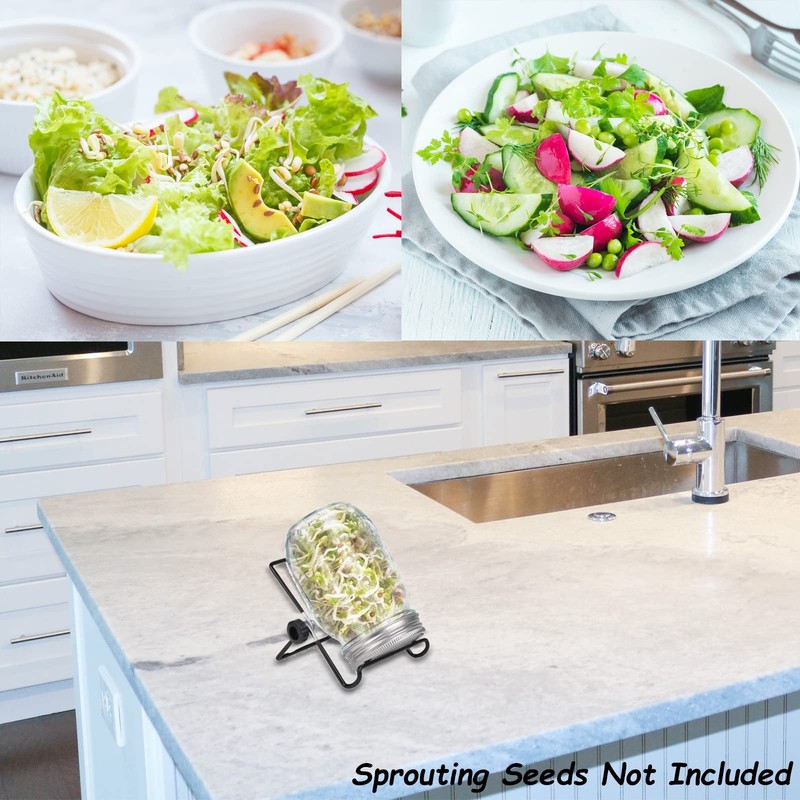 Organic Sprouting Jar Kit for Broccoli, Alfalfa, Mung & Bean Microgreens gallery