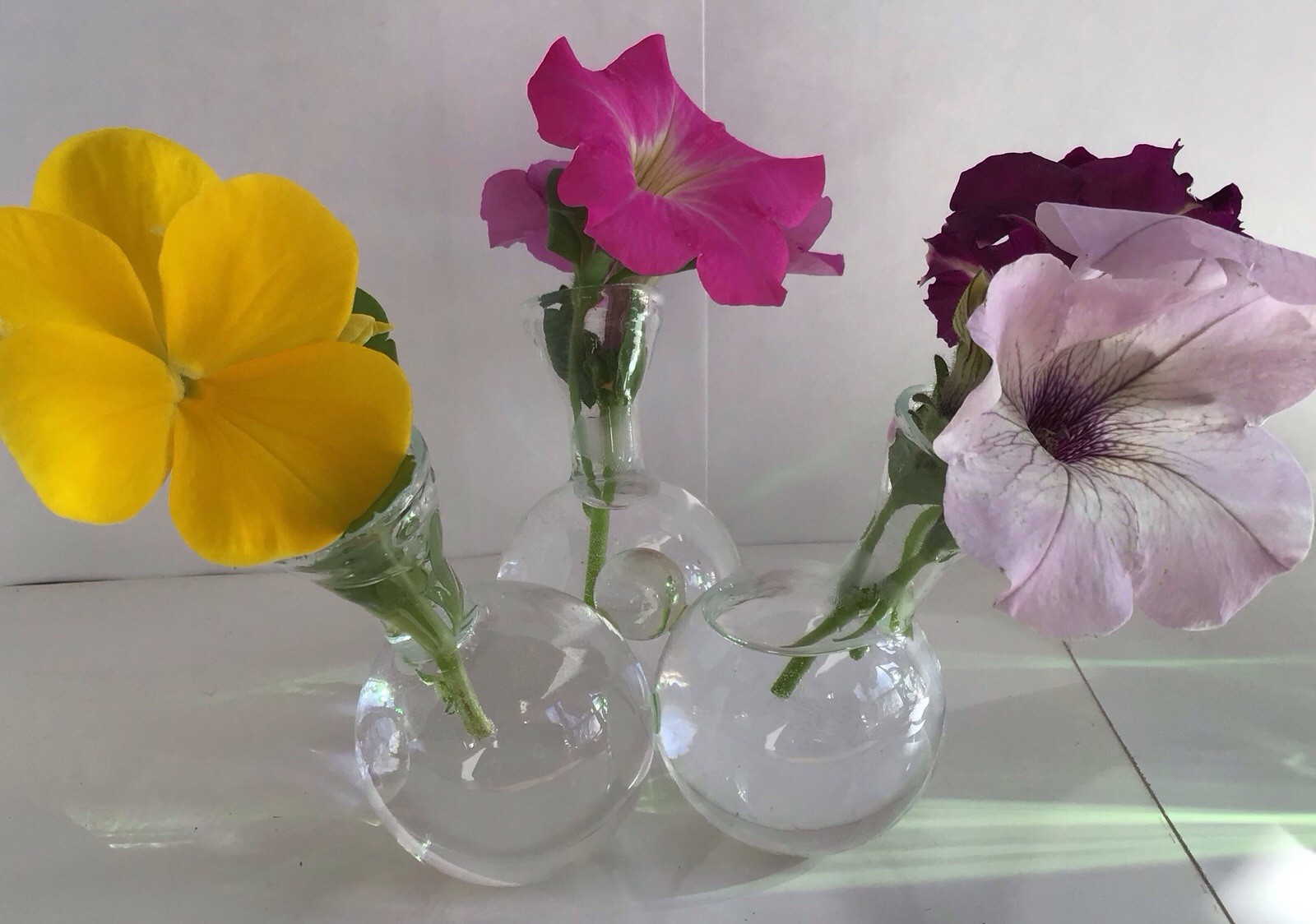 Retro MCM 3 Cluster Bud Vase Round Plant Propagation Station Unique Vintage gallery