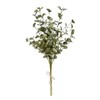 Raz Imports Replica Eucalyptus Bundle, 33" (F3802080) gallery