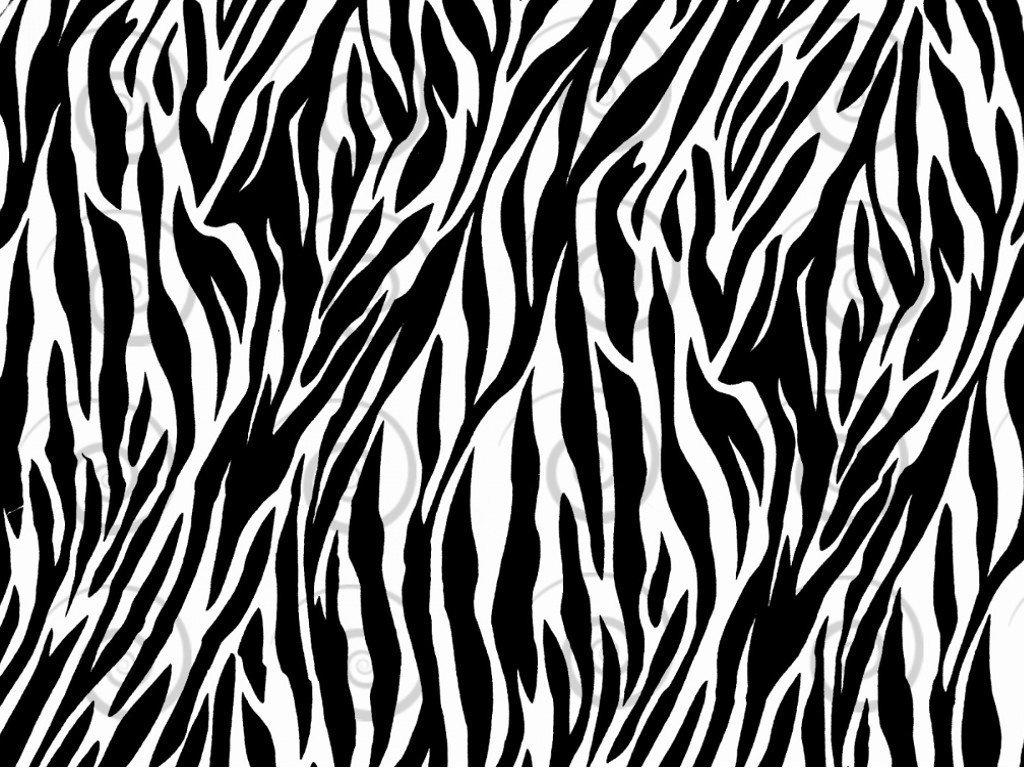 ANIMAL PRINT PATTERNS Image Edible Cake toppers cupcakes, strips and more... gallery
