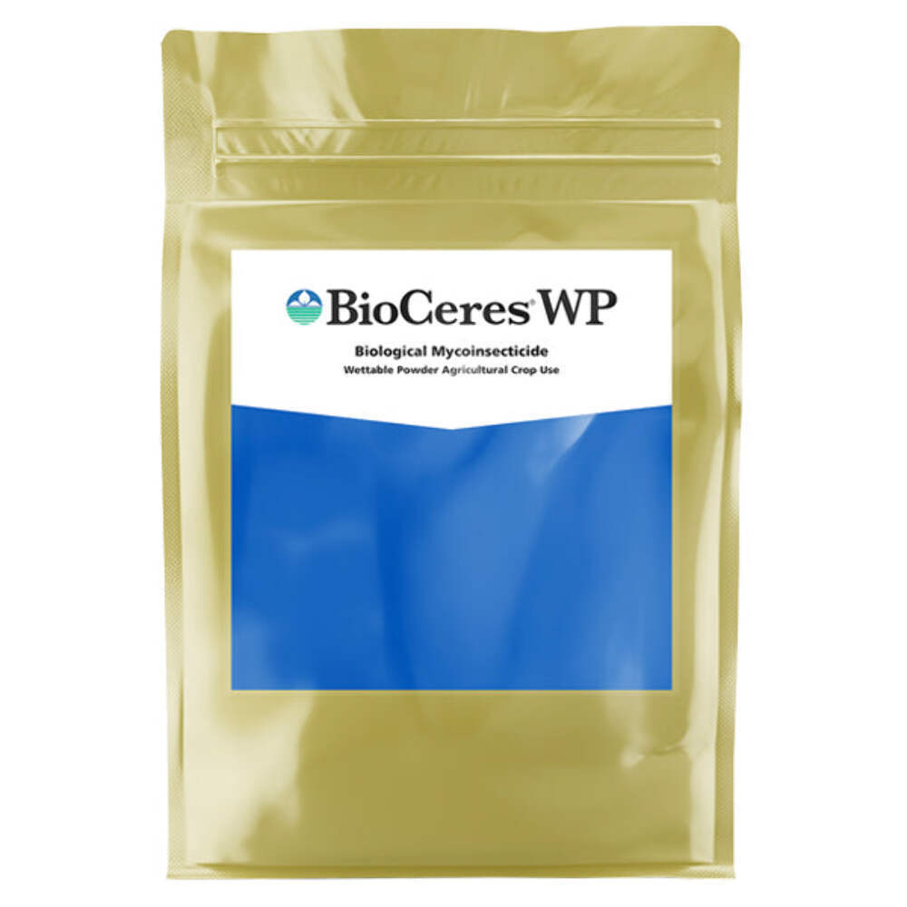 Bioceres WP gallery