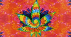 6 Pack Tie Dye Marijuana Leaf Holographic Psychedelic 1.5″x2.88″ Bumper Sticker