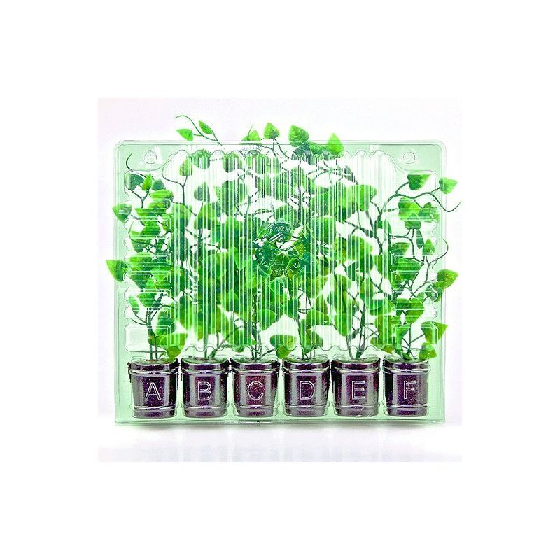 Clone Shipper - Multiple Sizes - Ship Plant Cuttings - 100Hr LEDs Optional gallery