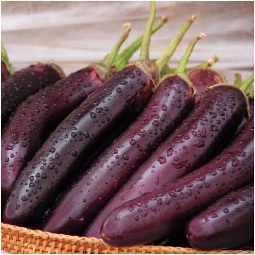 Long Purple Eggplant Seeds For Planting (Solanum melongena) gallery